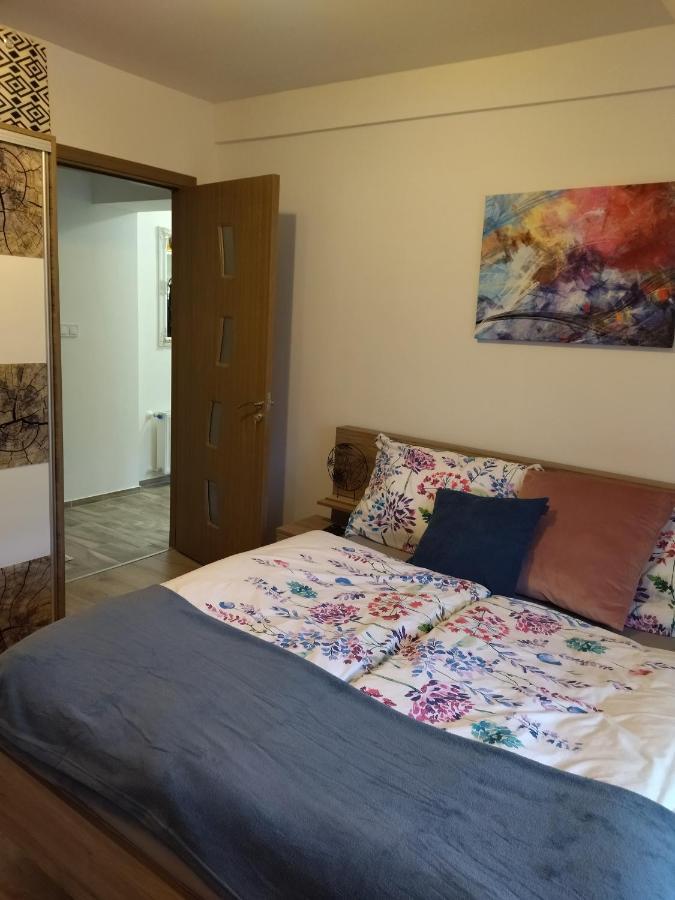 Valentin Apartman Makó Εξωτερικό φωτογραφία